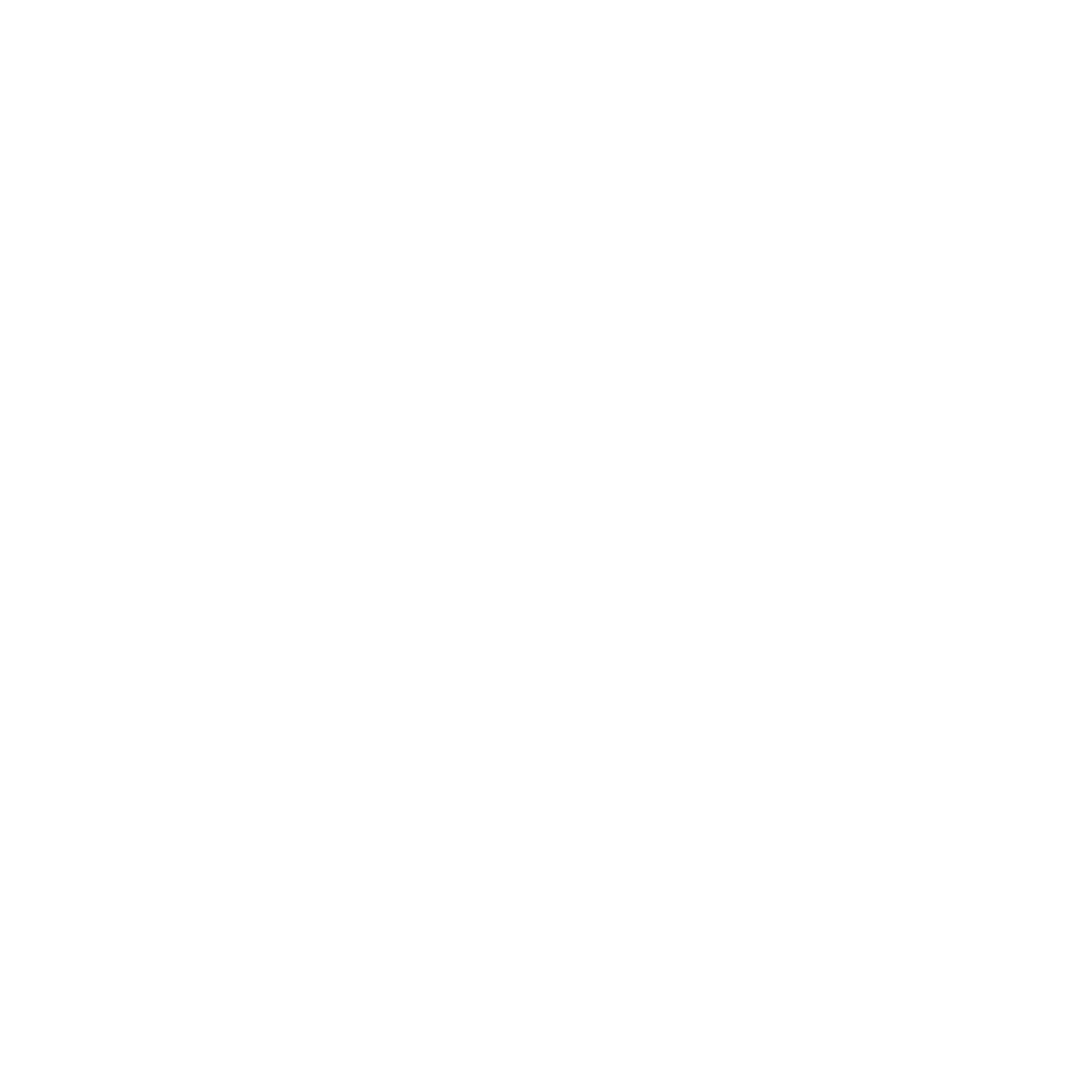 Robusto Living logo